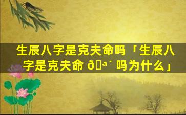 生辰八字是克夫命吗「生辰八字是克夫命 🪴 吗为什么」
